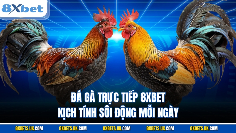 Đá gà trực tiếp 8XBET