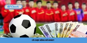 cá cược bóng đá 8xbet