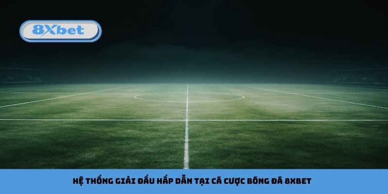Hệ thống giải đấu hấp dẫn tại cá cược bóng đá 8xbet