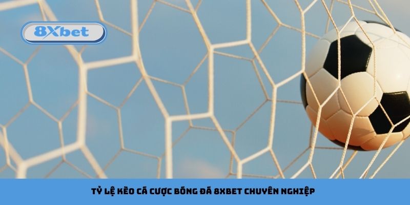 Tỷ lệ kèo cá cược bóng đá 8xbet chuyên nghiệp